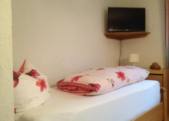 Singer Apartament Schnaittach